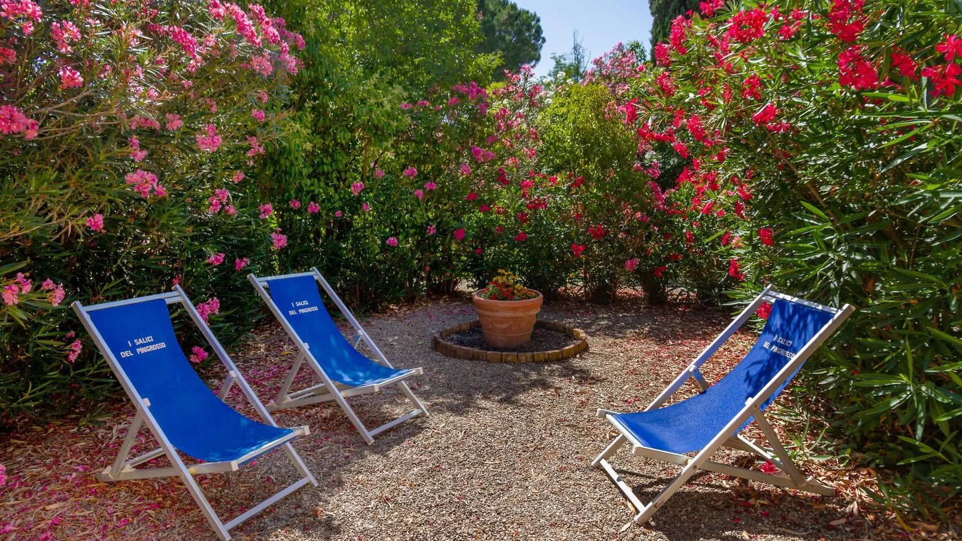 Bilo Camelia Villa Marina di Grosseto 0*,  Italy
