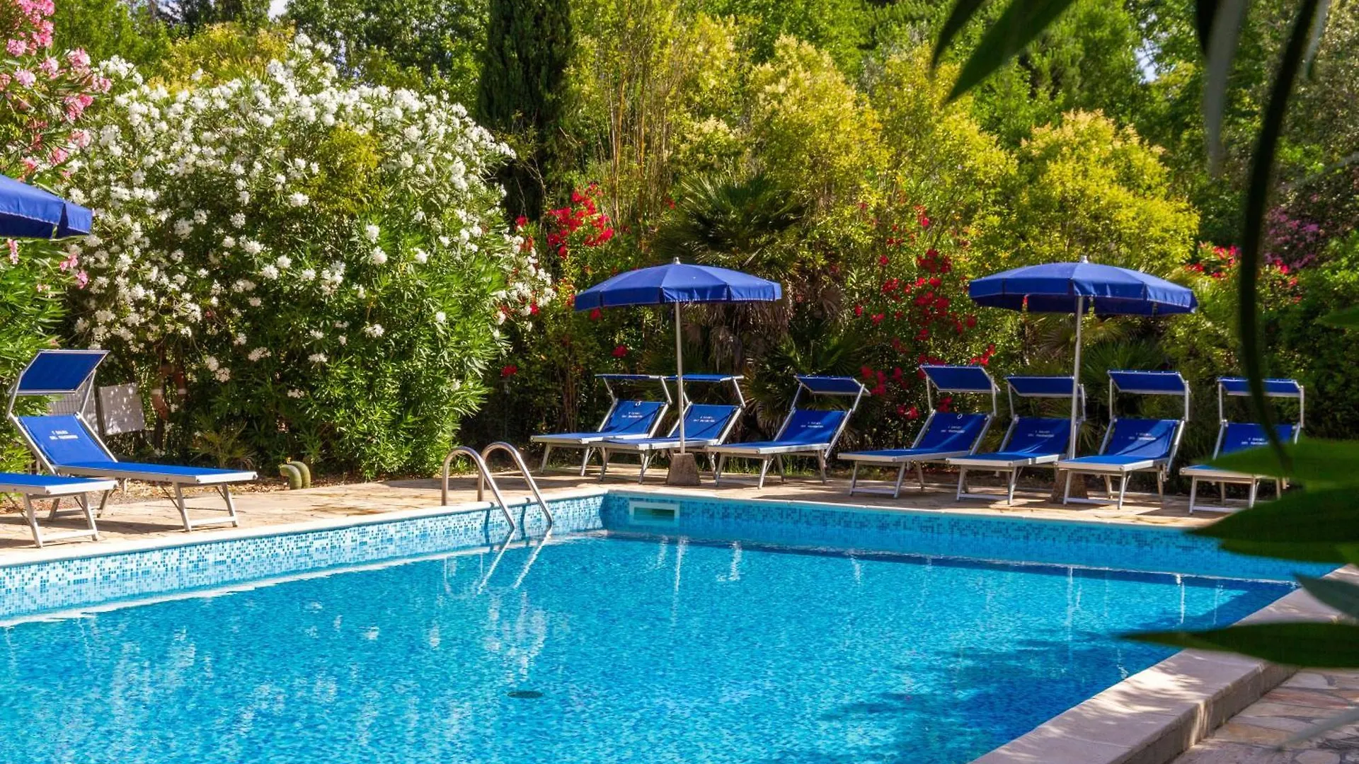 Farm stay Bilo Camelia Villa Marina di Grosseto Italy