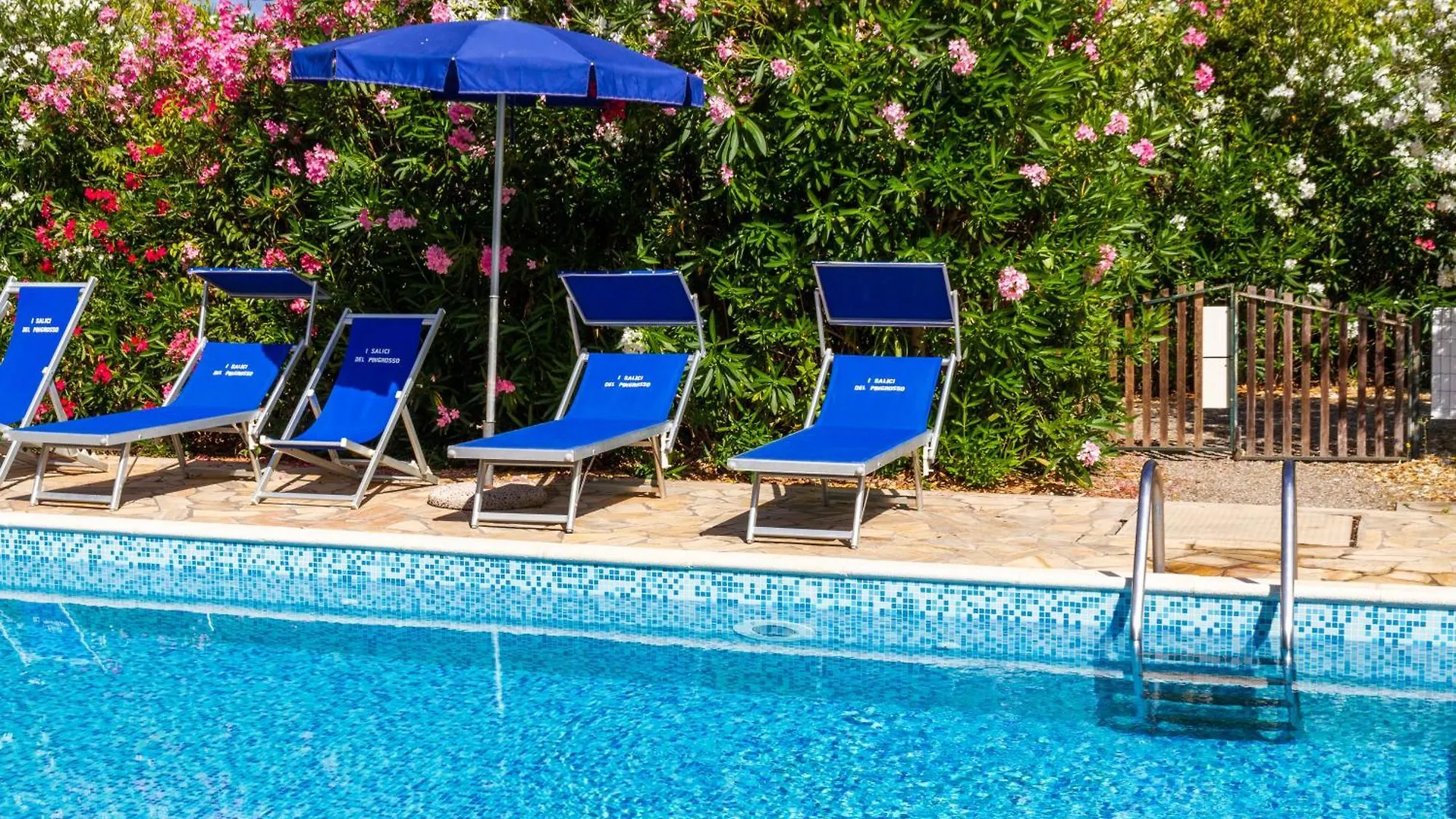 Bilo Camelia Villa Marina di Grosseto