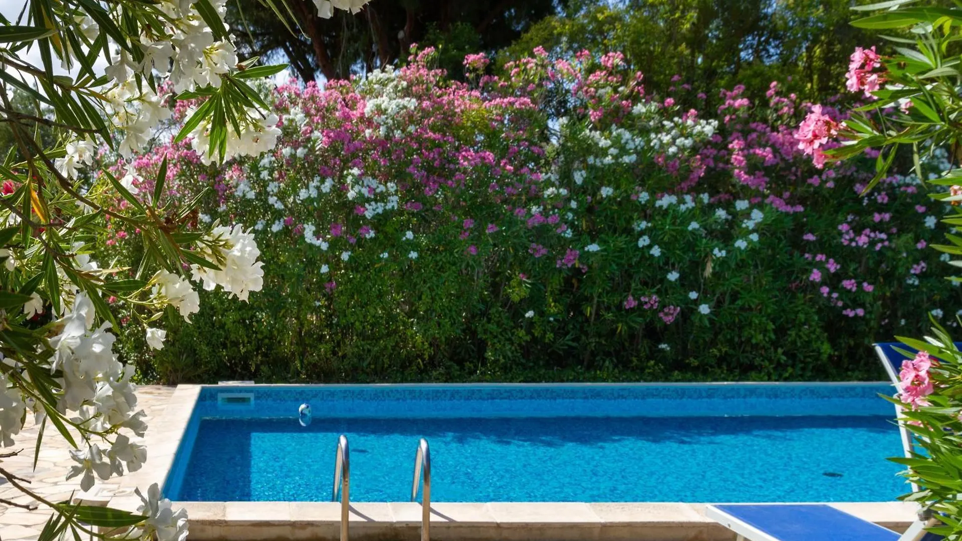 Farm stay Bilo Camelia Villa Marina di Grosseto Italy