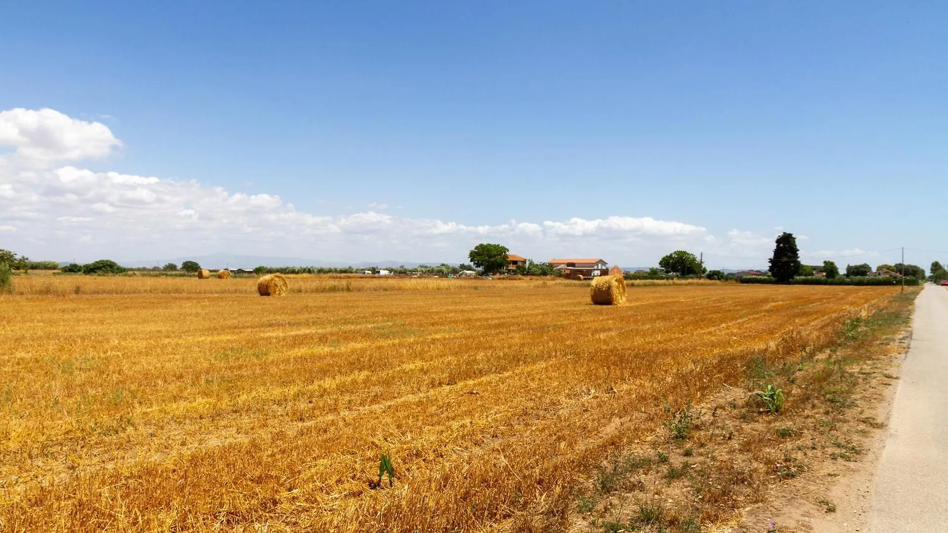 Bilo Camelia Villa Marina di Grosseto Farm stay