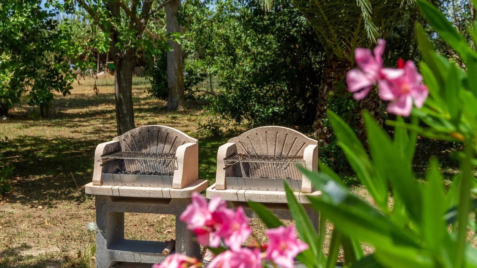 Bilo Camelia Villa Marina di Grosseto 0*,