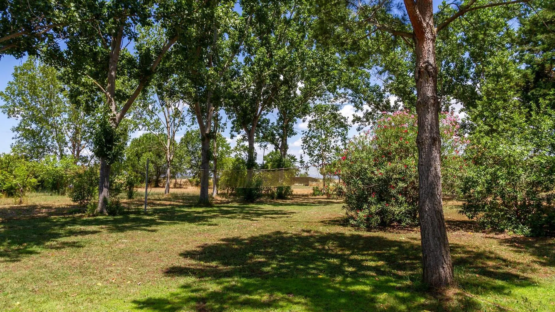 Bilo Camelia Villa Marina di Grosseto Farm stay